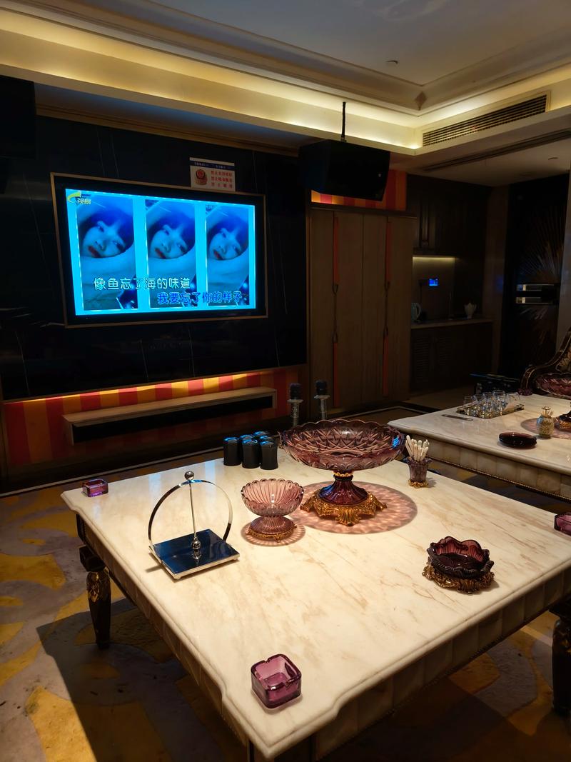 揭阳商务ktv创新商务ktv模式探秘-揭西县ktv预定